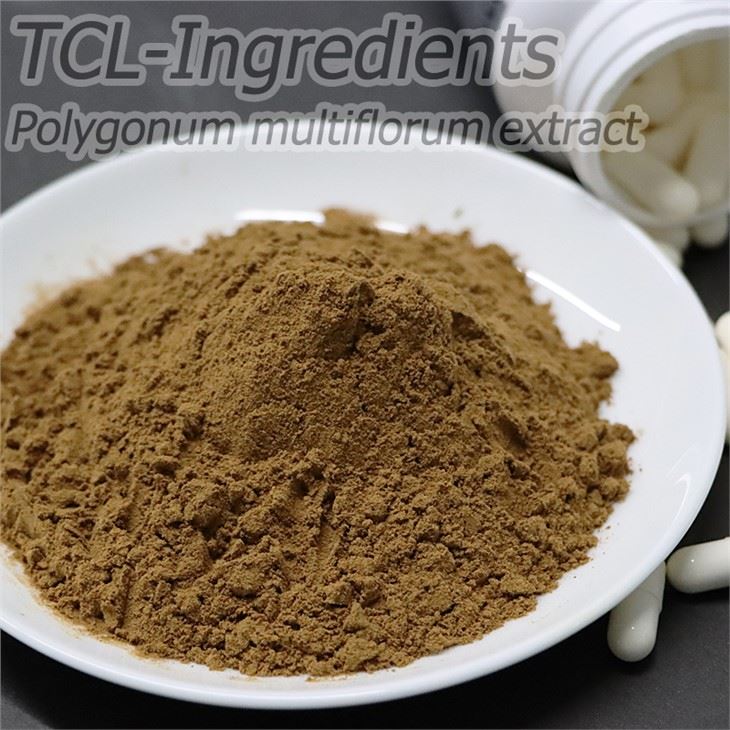 Polygonum Multiflorum en pols